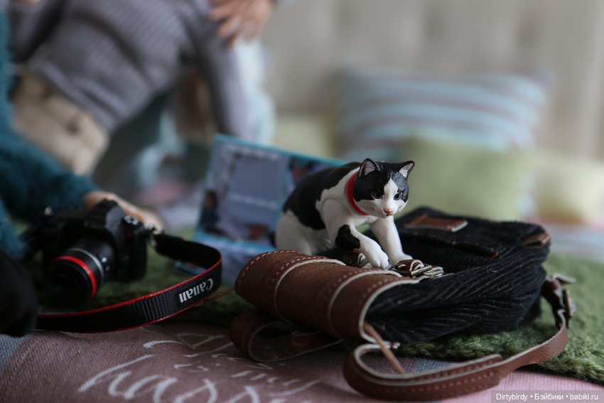 Кофе с молоком. 17 серия — Куклы Momoko и Ruruko (Petworks (фото 5)