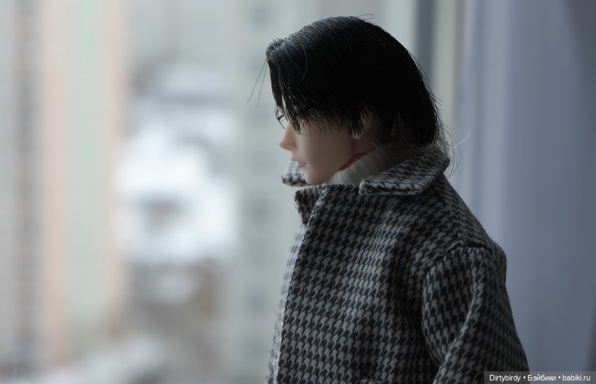 Портреты Ро́занова — Куклы Momoko и Ruruko (Petworks (фото 10)