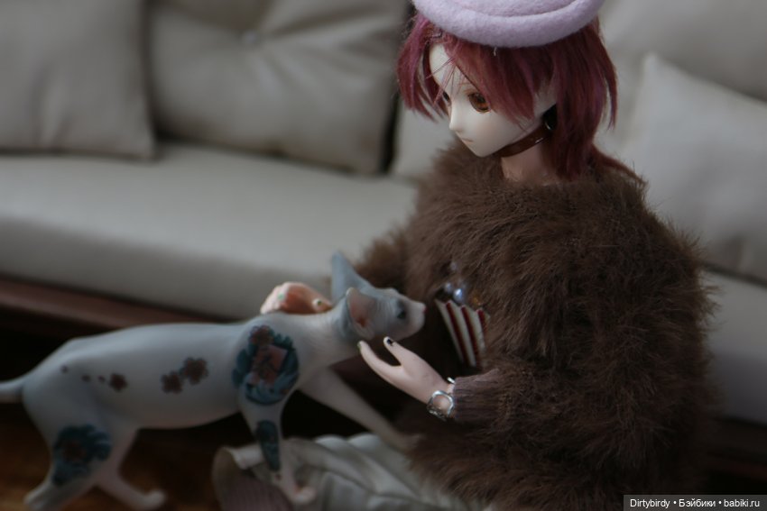 Лучше всего я получаюсь лёжа! Фотосессия в общаге и 20 отжиманий