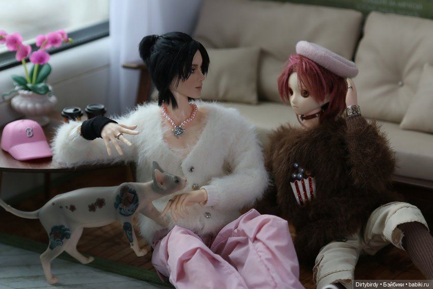 Лучше всего я получаюсь лёжа! Фотосессия в общаге и 20 отжиманий