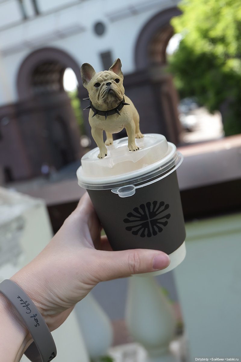 Кофе с видом🌇☕ — Куклы Momoko и Ruruko (Petworks