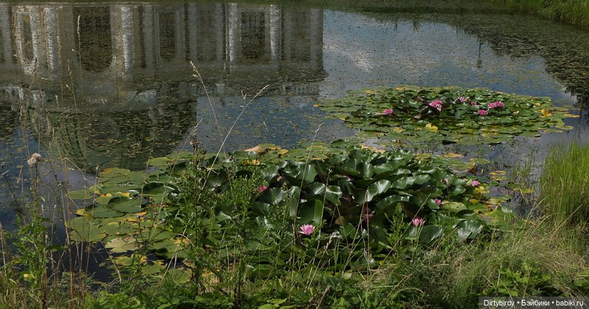 Секреты начинающего айдола. Усадьба Кусково (фото 8)