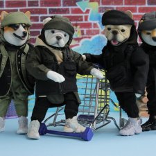 Собачки Mr.Z и немного котиков