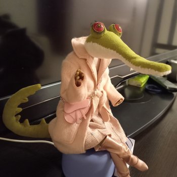 Невероятная Жаклин ))