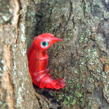 Маленькая,  но гордая креветка 😃