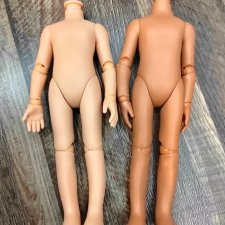 Корейские тела для Паола рейна