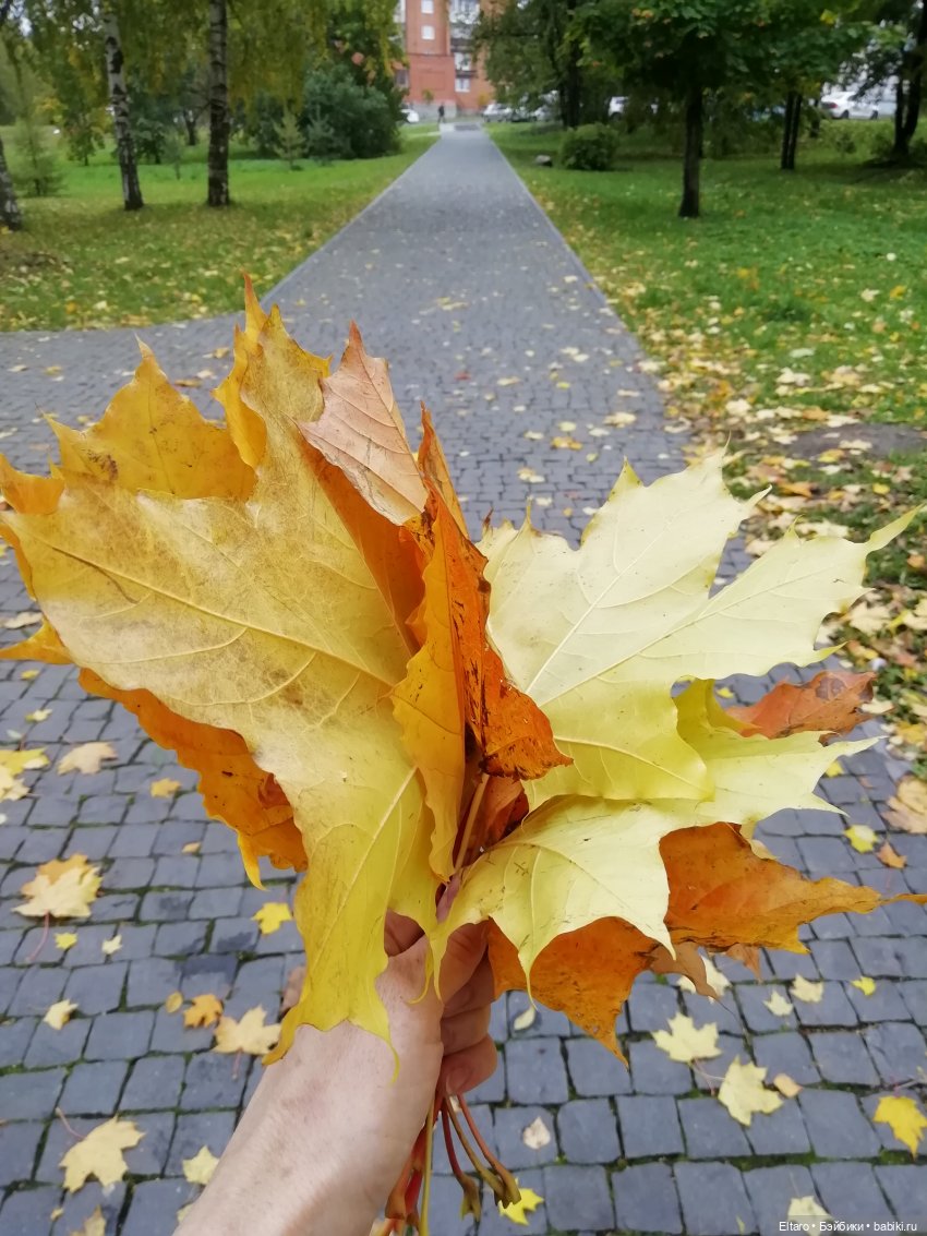 Осень в доме — Куклы Iplehouse (Иплхаус): BJD (БЖД)