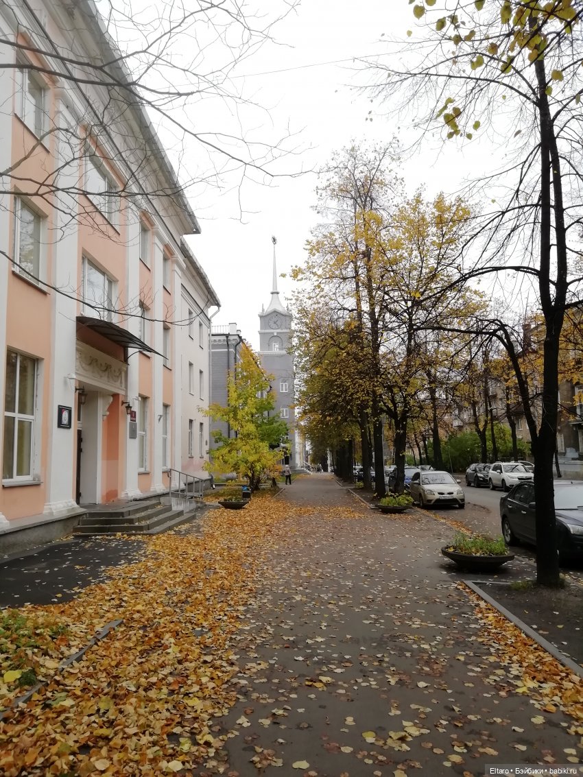 Осенняя девочка в осеннем парке