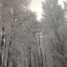 Просто Зима