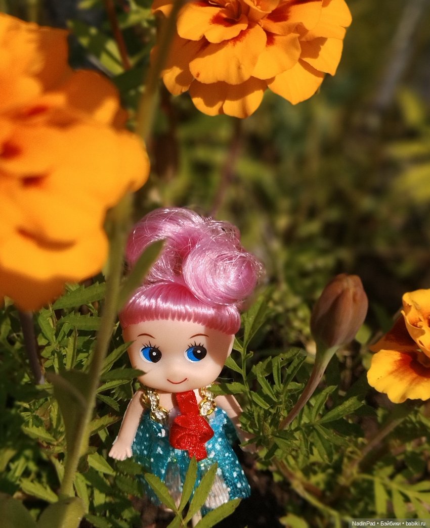 Цветочная фея при делах🌸 — Болталка и разговоры обо всем: жизнь (фото 2)