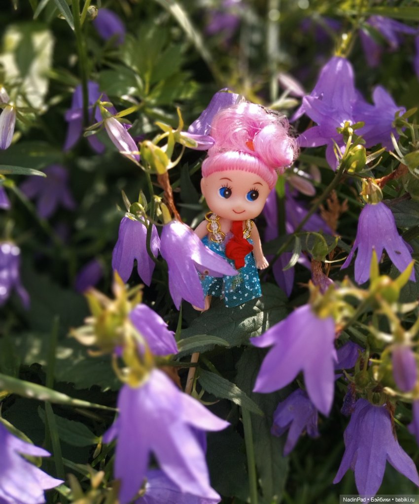 Цветочная фея при делах🌸 — Болталка и разговоры обо всем: жизнь