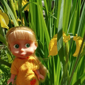 Маша и ирисы