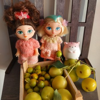 Девочки и ящик для фруктов