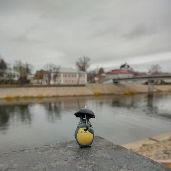 Тоторо и осень