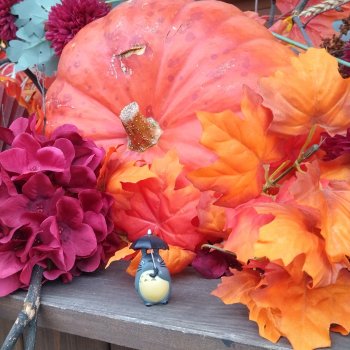 Тоторо и тыква