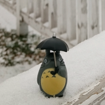 Тоторо и кораблик