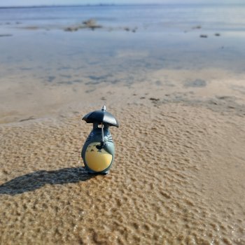 Тоторо и залИвное море