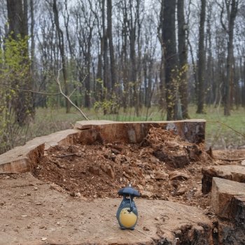 Тоторо и парк