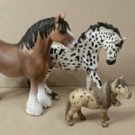 Лошади Шлях