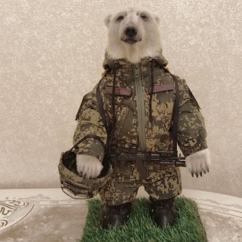 Вот такой родился Защитник и уехал