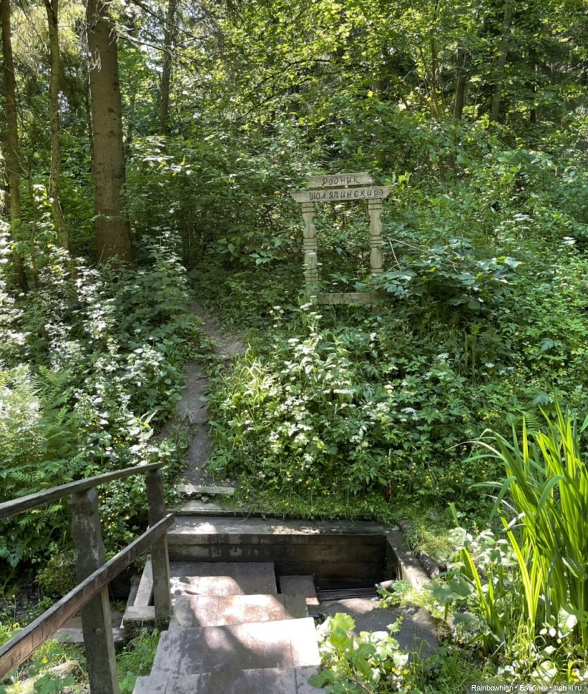 Небольшая прогулка по лесу (фото 6)