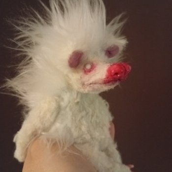 Ёжик Тедди из серии Гаденыш и гриб. Ждет своего хозяина🥰