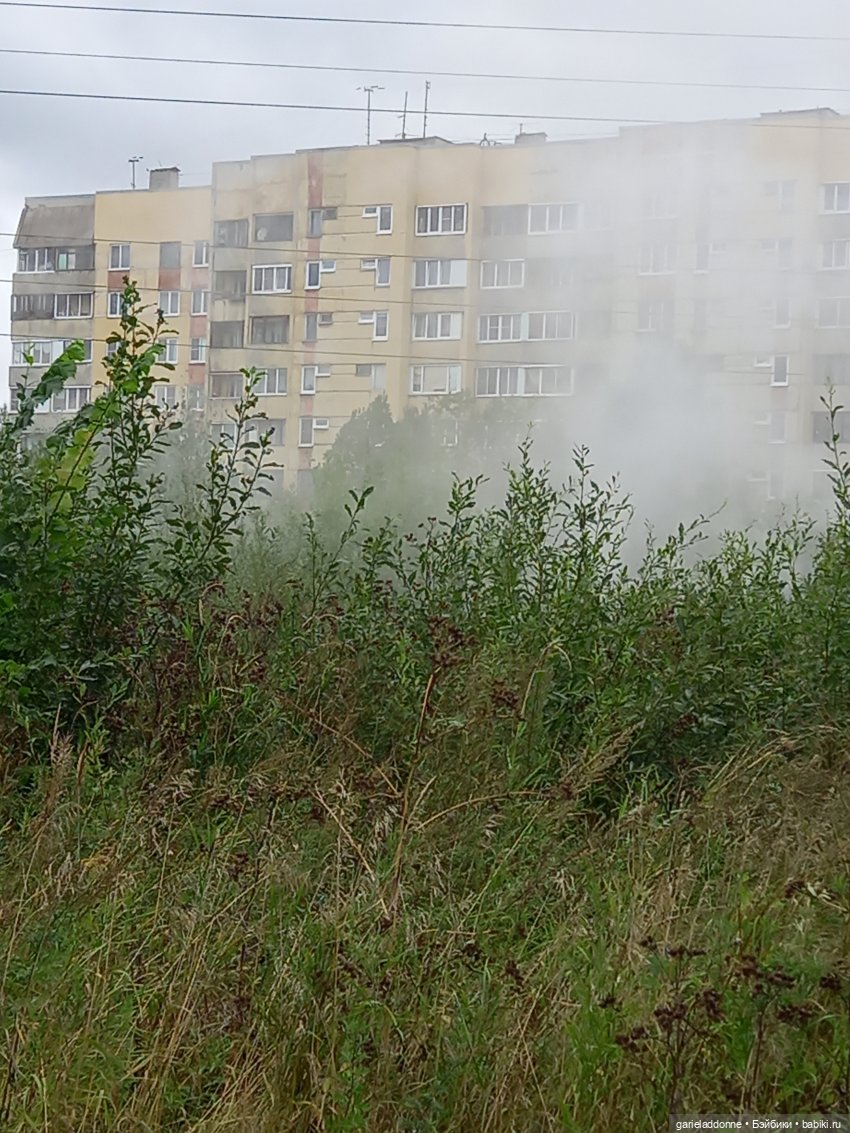 Момоко и Азуми — Зарисовки из кукольной жизни: фотоистории (фото 8)