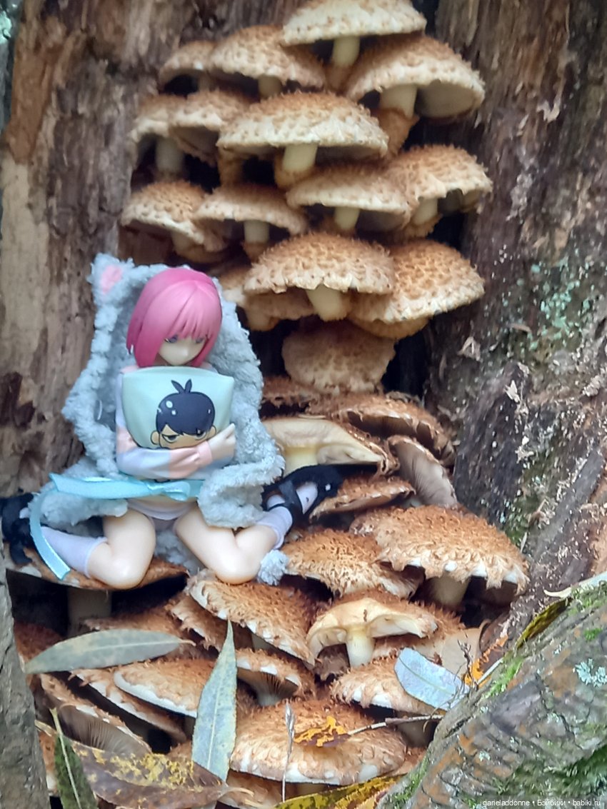 Прогулка с Момоко — Зарисовки из кукольной жизни: фотоистории