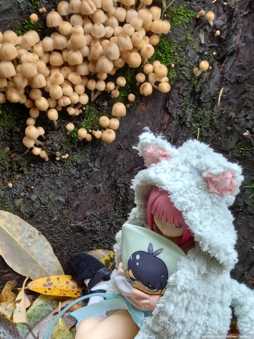Прогулка с Момоко — Зарисовки из кукольной жизни: фотоистории