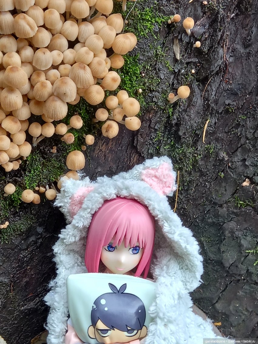 Прогулка с Момоко — Зарисовки из кукольной жизни: фотоистории