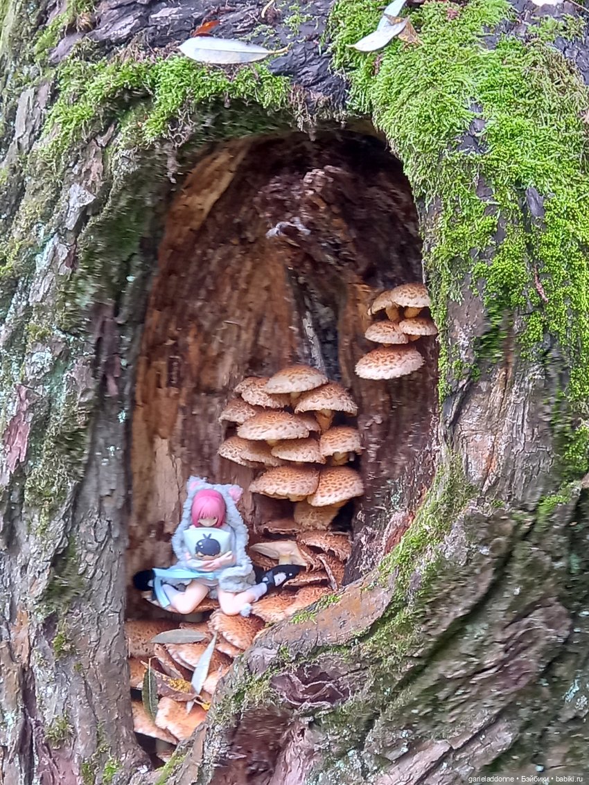 Прогулка с Момоко — Зарисовки из кукольной жизни: фотоистории