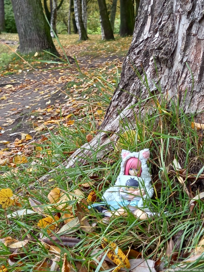 Прогулка с Момоко — Зарисовки из кукольной жизни: фотоистории
