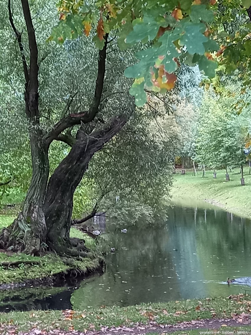 Прогулка с Момоко — Зарисовки из кукольной жизни: фотоистории