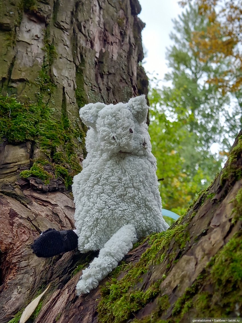 Прогулка с Момоко — Зарисовки из кукольной жизни: фотоистории