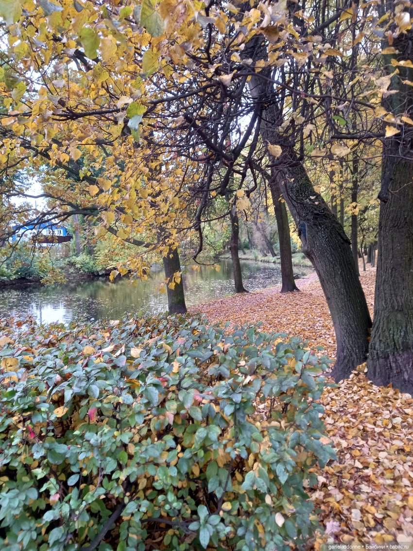 Прогулка с Момоко — Зарисовки из кукольной жизни: фотоистории (фото 6)