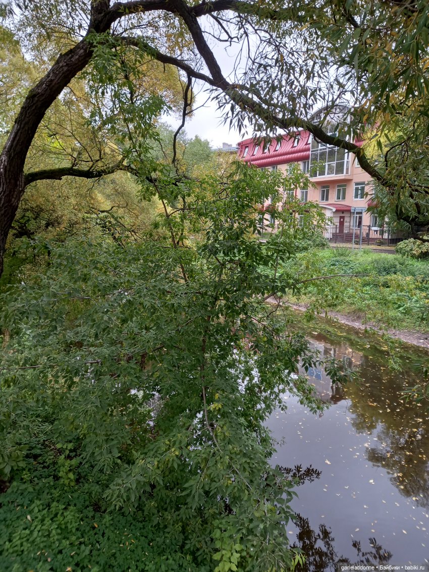 Прогулка с Момоко — Зарисовки из кукольной жизни: фотоистории
