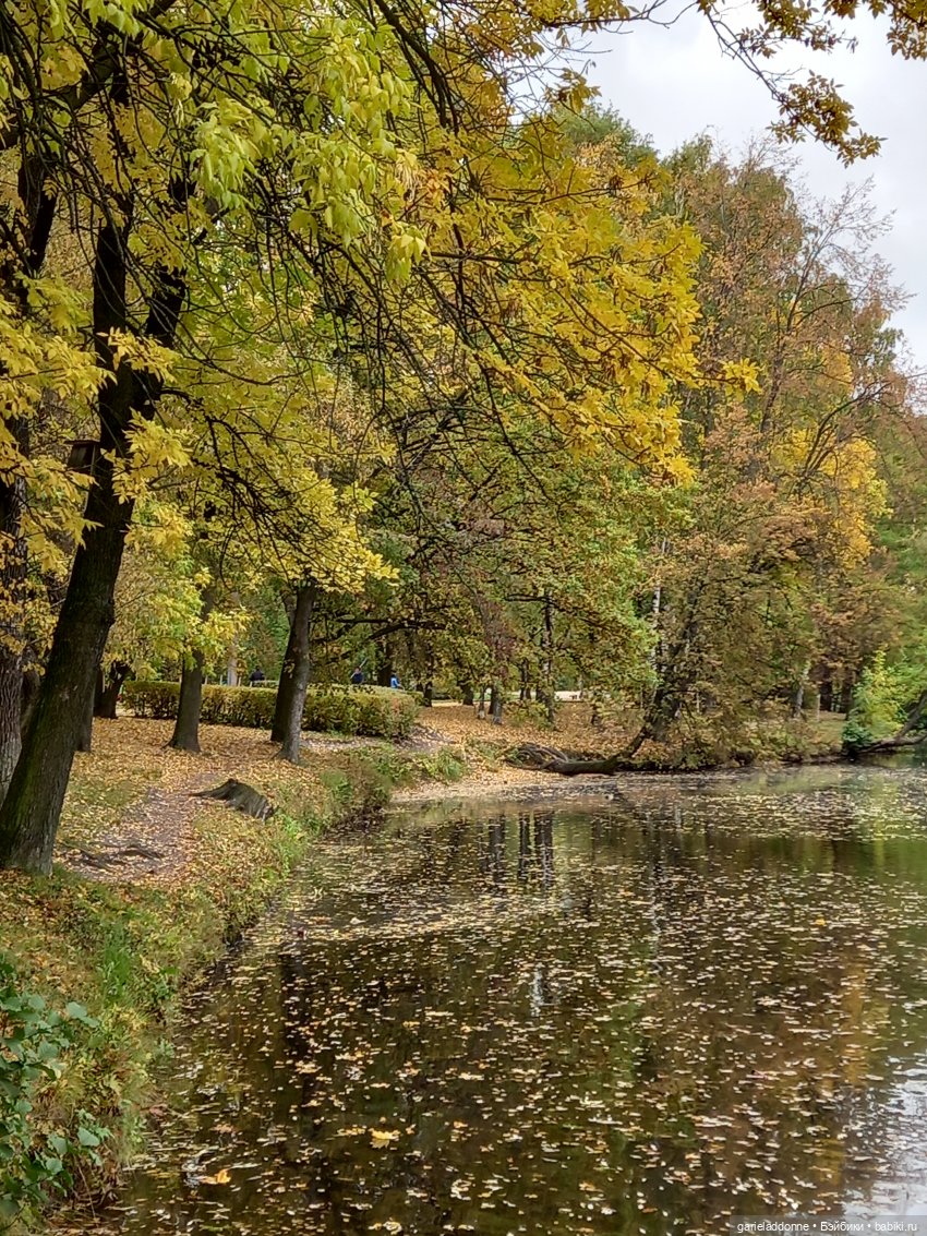 Прогулка с Момоко — Зарисовки из кукольной жизни: фотоистории