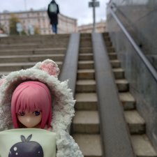 Прогулка с Момоко