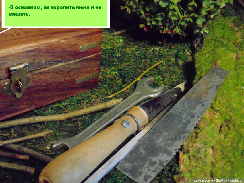 Находка — Зарисовки из кукольной жизни: фотоистории