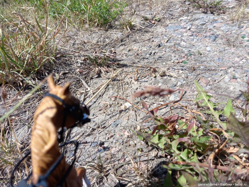 Степные скакуны | Бэйбики Степные скакуны — Интересные игрушки и фигурки (разное): редкие (фото 3)