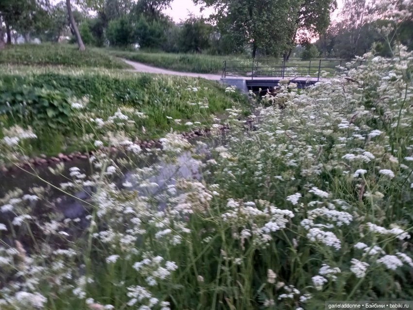 Степные скакуны | Бэйбики Степные скакуны — Интересные игрушки и фигурки (разное): редкие