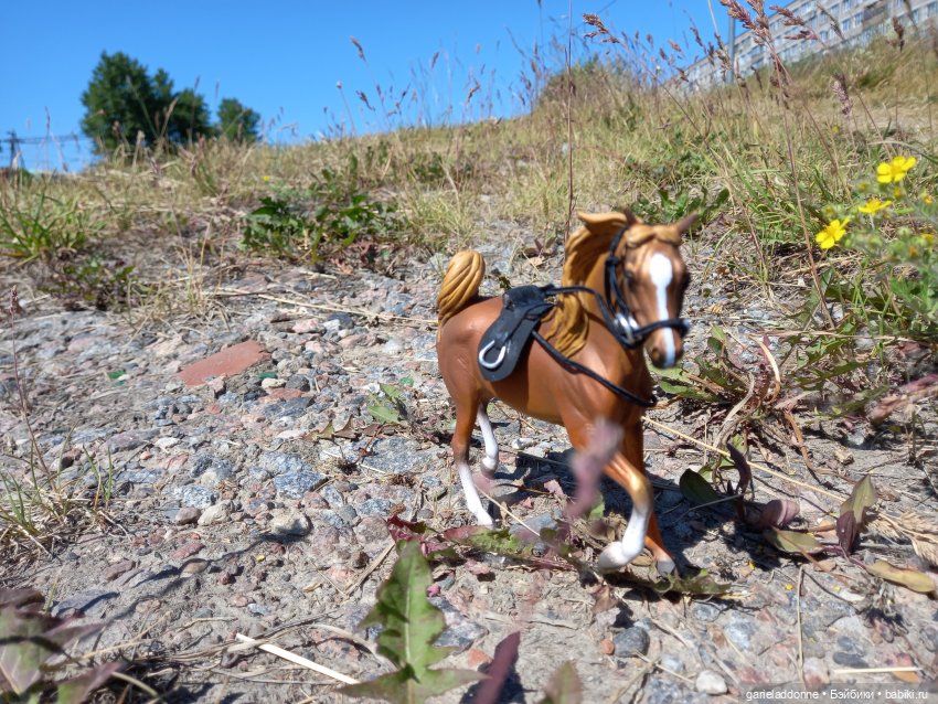 Степные скакуны | Бэйбики Степные скакуны — Интересные игрушки и фигурки (разное): редкие (фото 2)