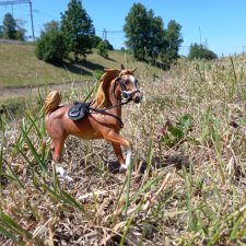 Степные скакуны