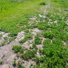 Лавка в Кетере