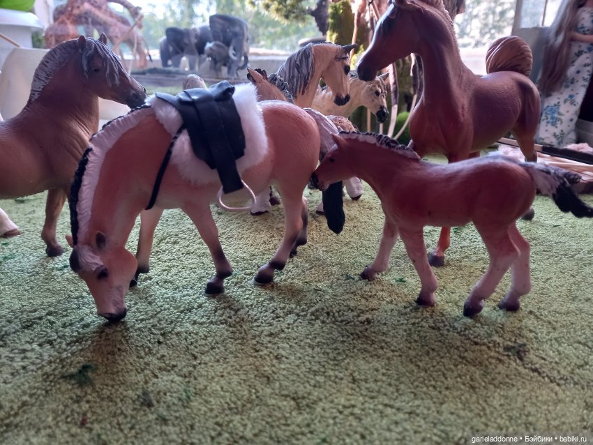 Дварнази-незримые наследники Золотой Орды (фото 6)