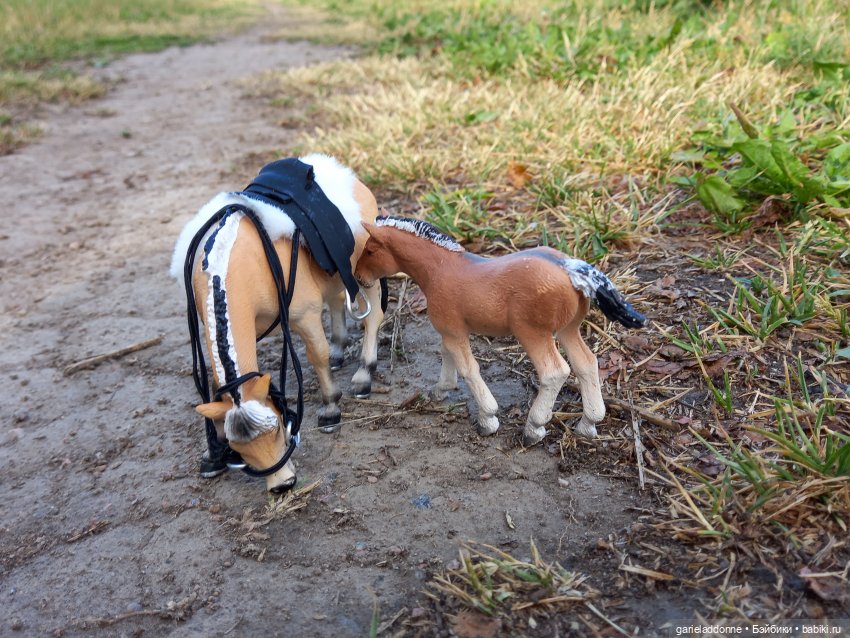 Скитание разведчиков племени дварнази