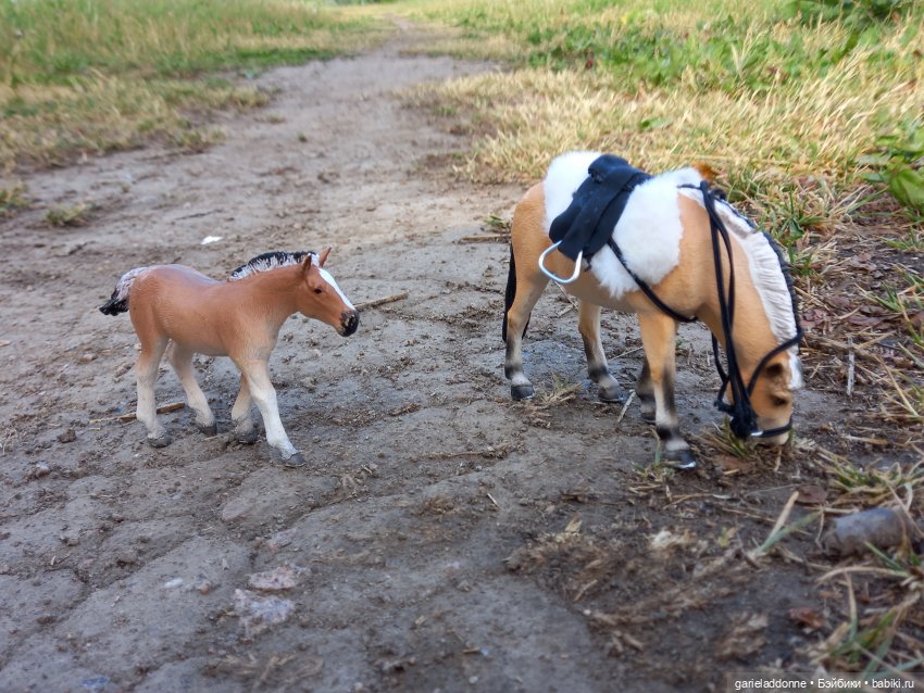 Скитание разведчиков племени дварнази