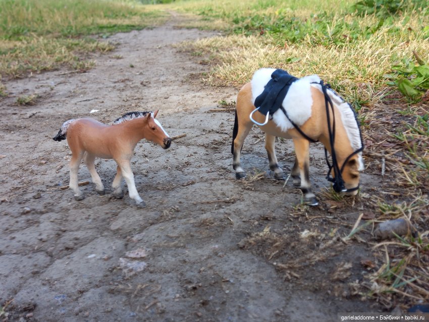 Скитание разведчиков племени дварнази