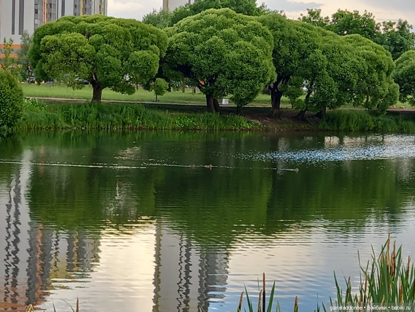 Скитание разведчиков племени дварнази (фото 6)