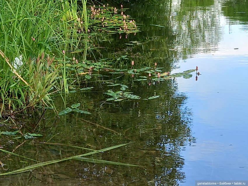 Скитание разведчиков племени дварнази (фото 8)
